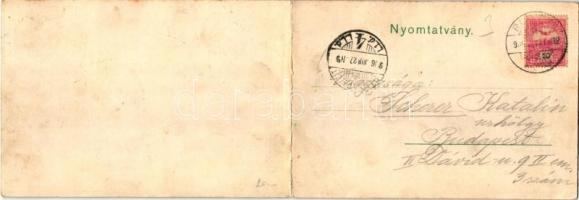 Resicabánya, Resita; panorámalap az acélgyárral, Branmüller L. kiadása / panoramacard, steel works, ...