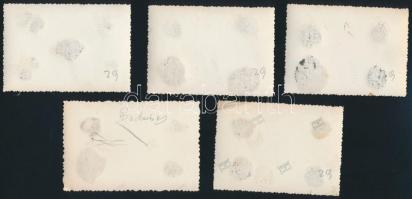 cca 1920-1930 Budaörs, irredenta virágszőnyeg, 5 db fotó, a egyik hátulján feliratozva, 5,5×8 cm