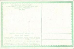 Traisen sebesültszállító kórházhajó / SM Spitalschiff Traisen, K.u.K. Kriegsmarine Naval battle art ...