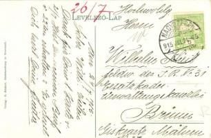 Brassó, Kronstadt, Brasov; Látkép. H. Zeidner / panorama view (EK)