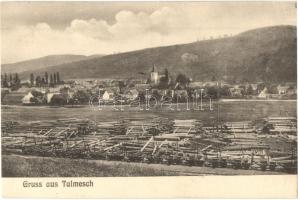 Nagytalmács, Talmesch, Talmaciu; látkép fűrészteleppel / panorama view with sawmill