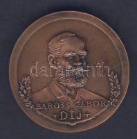 "Baross Gábor díj" a Közlekedési, Hírközlési és Vízügyi Minisztertől modern Br piefort (vastag) emlékérem T:1