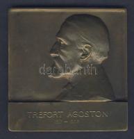 cca Századeleje "Trefort Ágoston - Magyar Iparművészeti Társulat" szögletes Br emlékplakett T:1