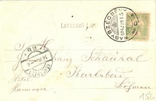 Szécsény, Nagyszécsény (Nógrád); Hollókő vára, Gross kastély északi része, Szent Ferenc rendi templo...