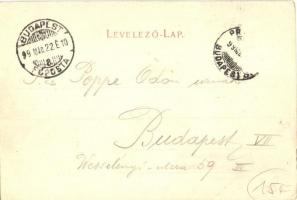 1899 Nagykanizsa, Városháza, Csengeri utca, Deák tér, Fő tér, üzletek. Alt & Böhm floral, Art No...