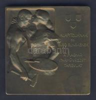 cca Századeleje "Trefort Ágoston - Magyar Iparművészeti Társulat" szögletes Br emlékplaket...