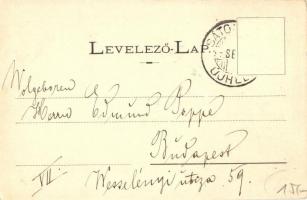 1899 Sátoraljaújhely, Wekerle tér, Római katolikus templom és bazárok. Art Nouveau, floral