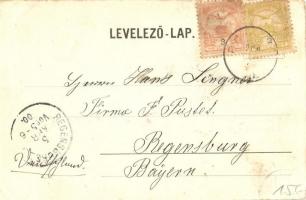 Bonyhád, Perczel kastély és park. Hoffer József kiadása (EK)