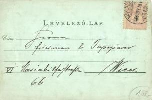 1899 Debrecen, Csokonai szobor, Kossuth utca, este. Art Nouveau floral (EK)