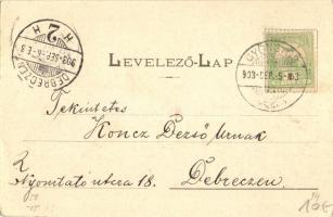 Gyöngyös, látkép templomokkal. Adler Zsigmond kiadása