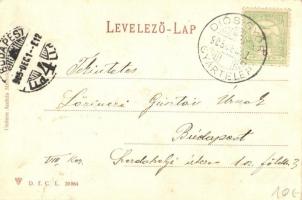 Diósgyőr, Vasgyár madártávlatból, kiadja Gedeon András, Miskolc