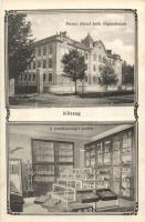 Kőszeg, Ferenc József katolikus főgimnázium. Természetrajz szertár, belső. Art Nouveau (fl)