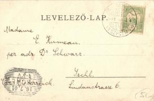 1901 Balatonalmádi, Almádi; Viola nyaraló. photo (EK)