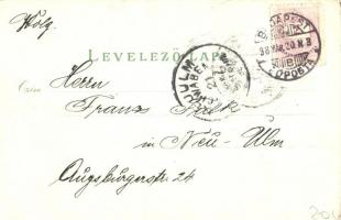 1898 Budapest, látkép a királyi vártól, Szent Lukács fürdő, Artézi kút, Fővárosi vigadó. Kunstanstal...