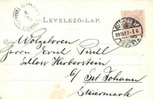 1899 Gödöllő, A király dolgozószobája, Erdélyi cs. és kir. udv. fényképész felvétele után, W. Haerte...