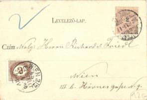 Budapest II. Pesthidegkút, Hidegkúti út, Villa Jahn, kiadja Kiszer Nándor fényképész