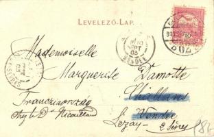 Budapest V. Tudományegyetem, villamos  (EK)