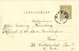 Siófok, Hajókikötő a Baross gőzössel, szállodák. Ellinger Ede fényképész kiadása