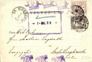 1900 Mosonmagyaróvár, Magyaróvár; Dunai látkép. photo (EK)