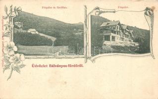 Bálványos-fürdő, Főépület és fürdőház. Divald / spa. Art Nouveau, floral