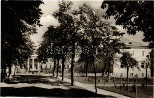 Csákvár, autóbusz megálló, gyógyintézet - 3 db MODERN fekete-fehér képeslap / 3 modern postcards