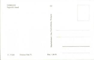 Debrecen, Kohász üdülő, nagyerdei strand, Vöröshadsereg útja, botanikus kert - 5 db MODERN fekete-fe...