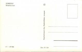 Debrecen, Kohász üdülő, nagyerdei strand, Vöröshadsereg útja, botanikus kert - 5 db MODERN fekete-fe...