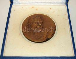 Szovjetunió cca 1950-es évek "Gorkij" Br emlékplakett T:2 Díszdobozban!