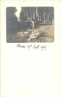 1907 Mohács melletti Béda nevű erdőterület. Kilőtt szarvas óriás aganccsal / Hunted deer with giant antlers. photo