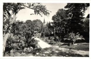 Kolozsvár, Cluj; Botanikus kert / botanical garden