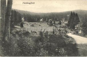 Feketehegyfürdő, Merény, Nálepkovo; látkép / general view (EK)