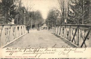 Kassa, Kosice; Széchenyi liget, híd, Nyulászi Béla kiadása / park, bridge (EK)