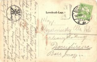 1915 Budapest, M.E.C. (Műegyetemi Evezős Club) Clubháza a Dunán, sportklub ház (kis szakadás / small...