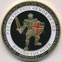 Amerikai Egyesült Államok DN "Egyesült Államok Haditengerészete" aranyozott, színes fantáz...