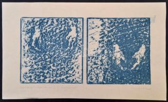 Somlai Vilma (1938-2007): Kosztolányi - Édes Anna, színezett linó, papír, jelzett, 22x40 cm