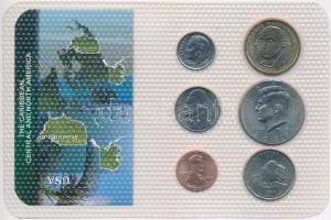 Amerikai Egyesült Államok ~2004-2009. 1c-1$ (6xklf) fóliatokban T:1,1-
USA ~2004-2009. 1 Cent - 1 D...