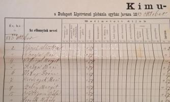 1883 Budapest Lipótvárosi Plébánia kimutatása, az elhunytak neveivel, Langer János (1819-1889) zenes...