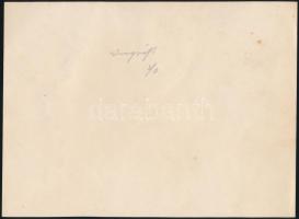 cca 1910 Monzai nagydíj fotó / Monza Grand Prix photo. 18x12 cm