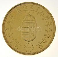 2004. 50Ft Cu-Ni "Európai Unió tagja" aranyozott forgalmi emlékérme T:2