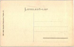 Vulkán, Zsivadejvulkán, Vulcan; Hermann Izidor üzlete, belső az eladókkal. Adler fényirda 1908. / sh...