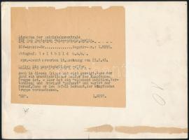 1943 Besorozott kutya a német hadseregben. Szállítási feladatokra használták őket. Hadi fotó, hátold...