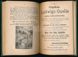 Robert Schwartner: Führer unter der Hohen Tátra. Késmárk, 1883, Szerzői kiadás, Sauter&Schmidt-n...
