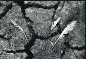 cca 1975 Kortárs fotóművészeti alkotások, 3 db feliratozott, vintage fénykép, 24x18 cm