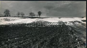 cca 1972 Zsigri Oszkár (1933-?) hagyatékából 3 db vintage fotóművészeti alkotás, kettő feliratozva, ...