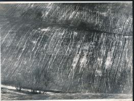 cca 1972 Zsigri Oszkár (1933-?) hagyatékából 3 db vintage fotóművészeti alkotás, kettő feliratozva, ...