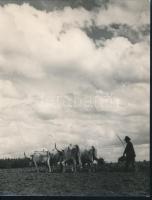 1936 Osoha László (?-?) hagyatékából 2 db pecséttel jelzett, vintage fotóművészeti alkotás, 15x22 cm...