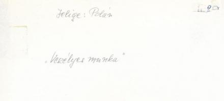 cca 1975 Kortárs fotóművészeti alkotások, 4 db feliratozott, vintage fénykép, 24x18 cm