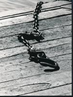 cca 1978 Kortárs fotóművészeti alkotások, 3 db feliratozott, vintage fénykép, 24x18 cm