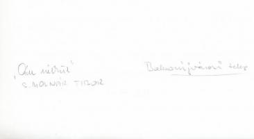 cca 1978 Kortárs fotóművészeti alkotások, 3 db feliratozott, vintage fénykép, 24x18 cm