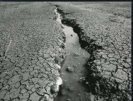 cca 1978 Kortárs fotóművészeti alkotások, 3 db feliratozott, vintage fénykép, 24x18 cm